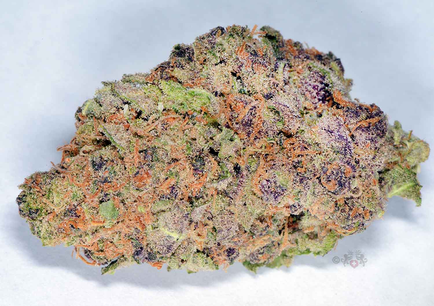 Black Cherry Punch