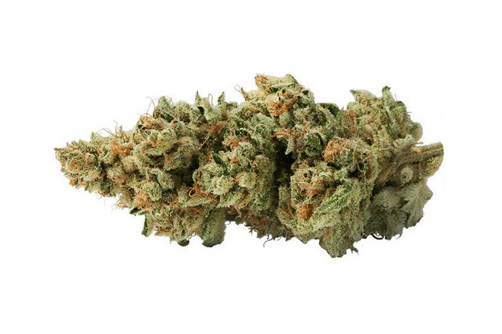 Power Plant