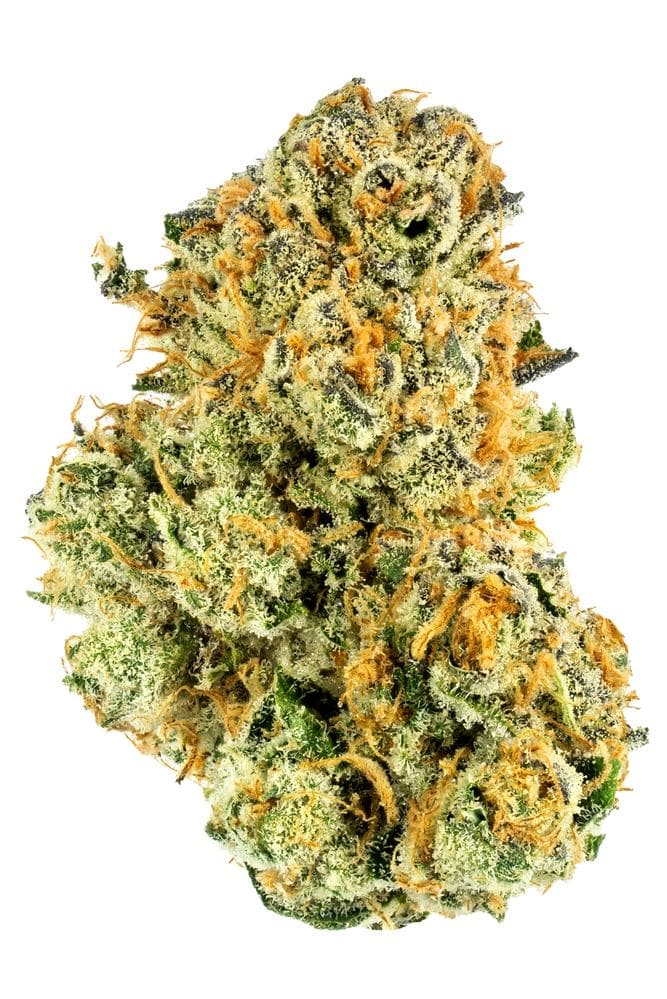 Lemon Lava 