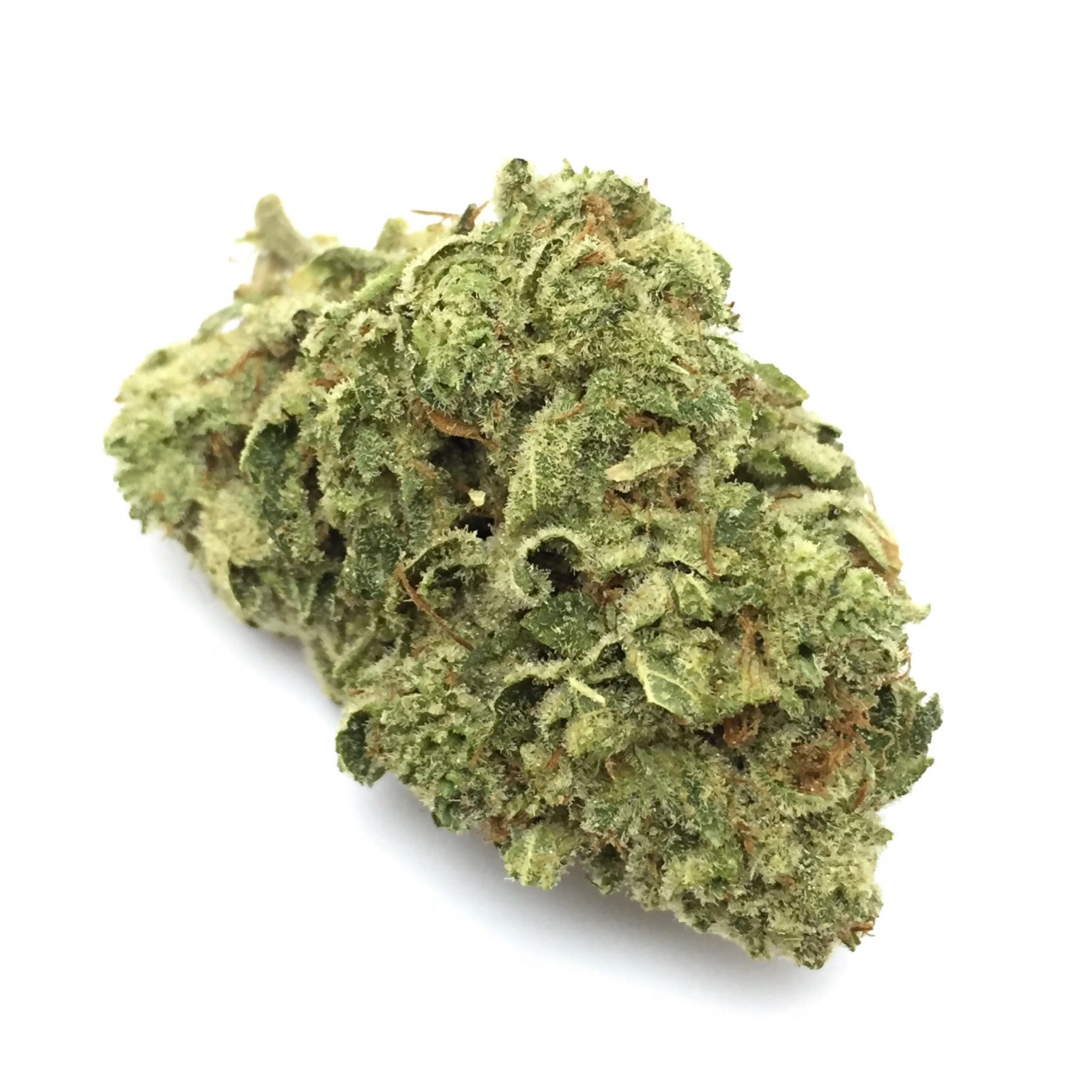 Gorilla Glue