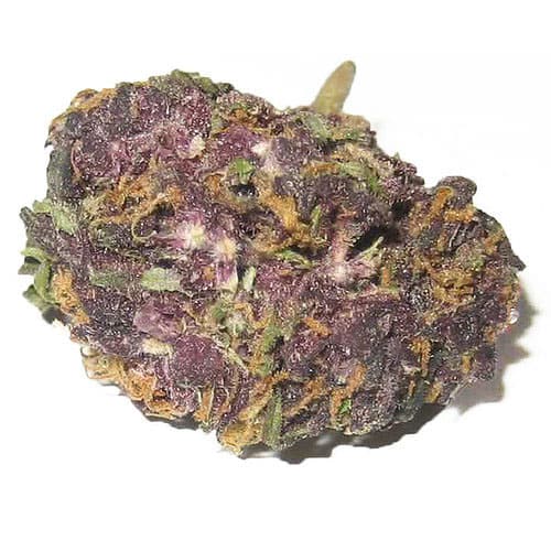 Purple kush