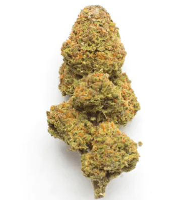 Lemon Cookie