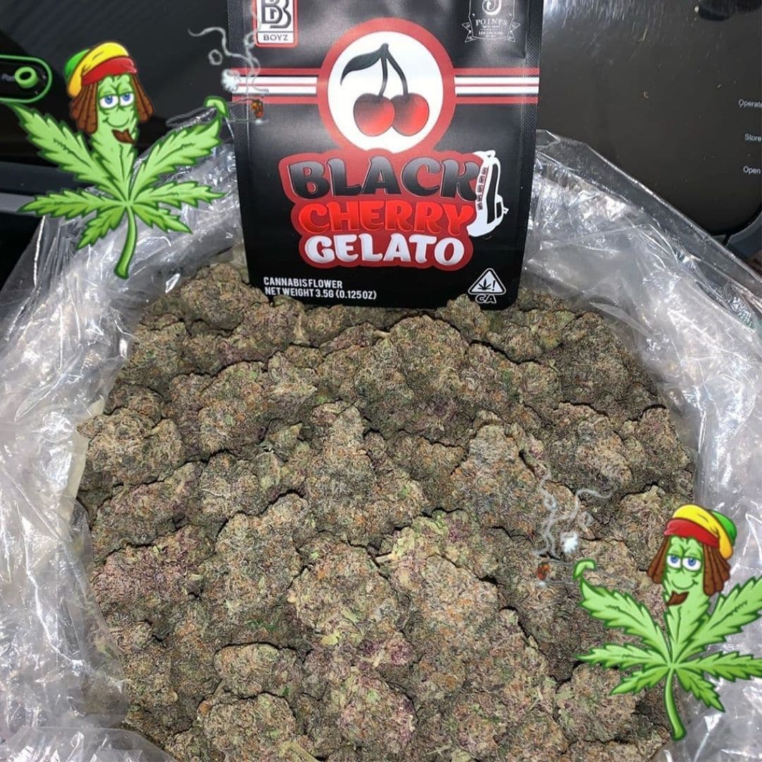 Black cherry gelato 