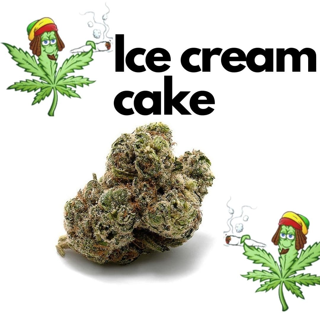 Ice cream cake 