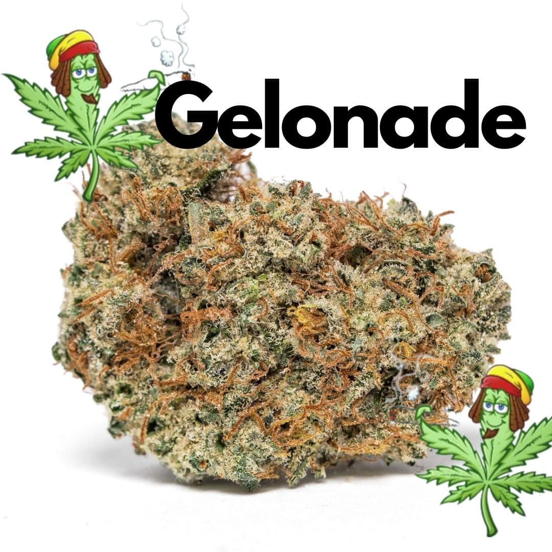 Gelonade