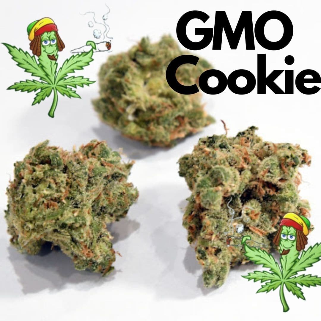 GMO Cookies