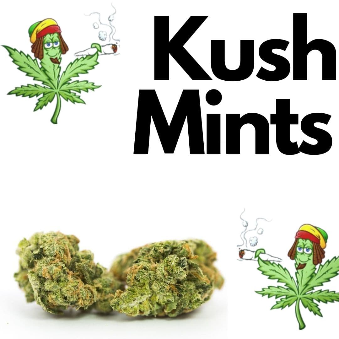 Kush Mints