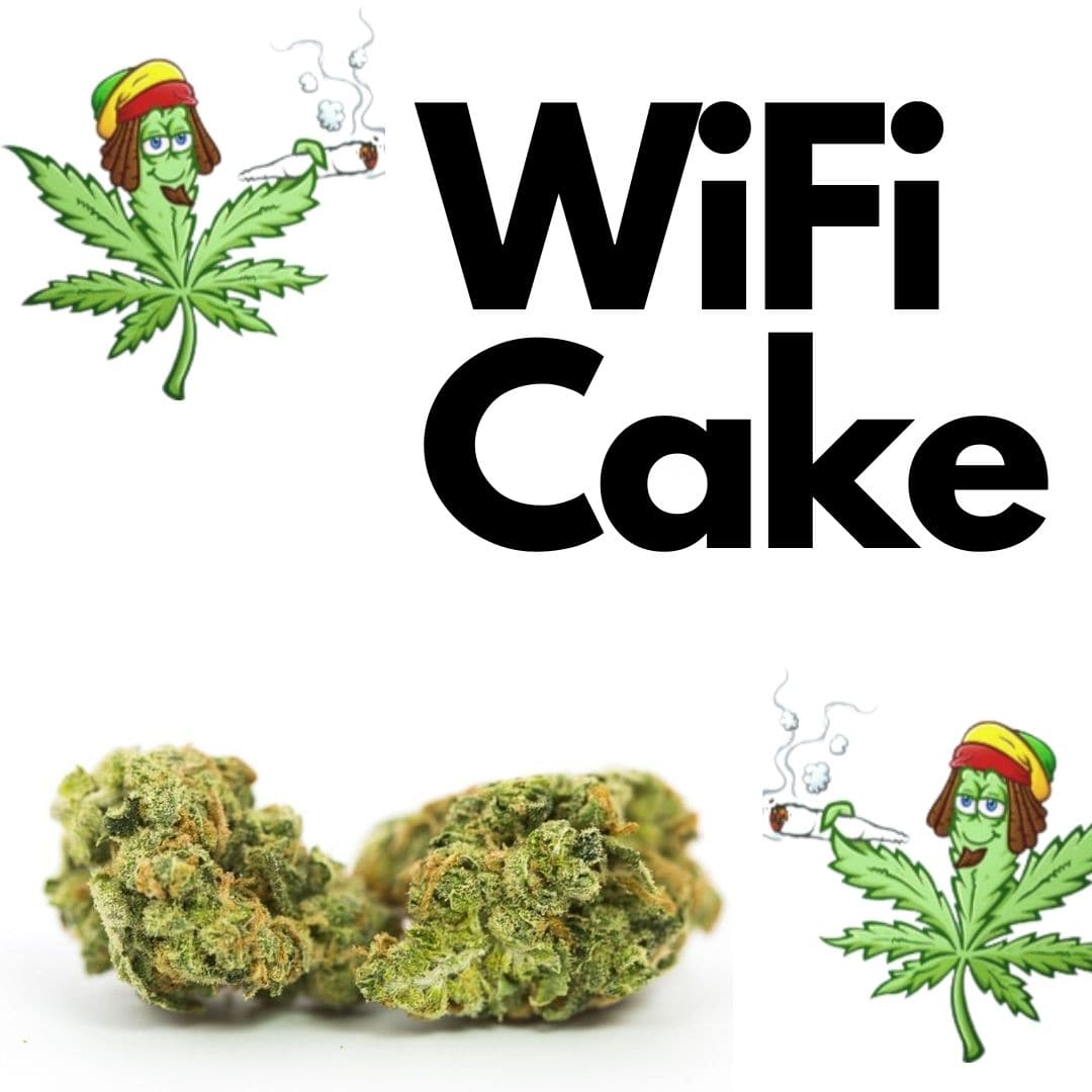 Wifi cake 