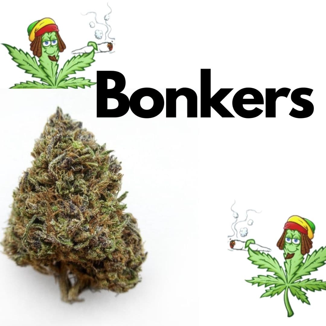 Bonkers 