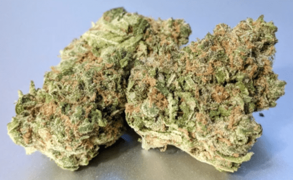 Girl Scout Cookie