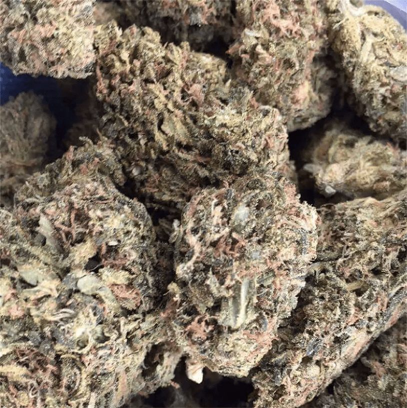 Purple Haze