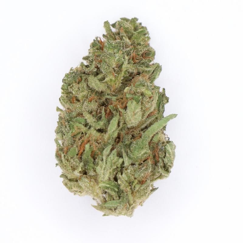 Gelato