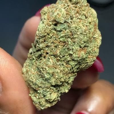 Kandyland