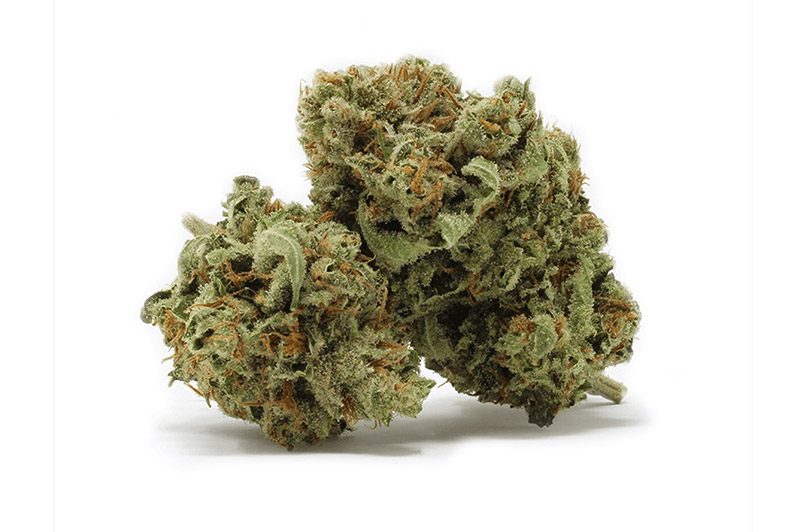 OG SKUNK