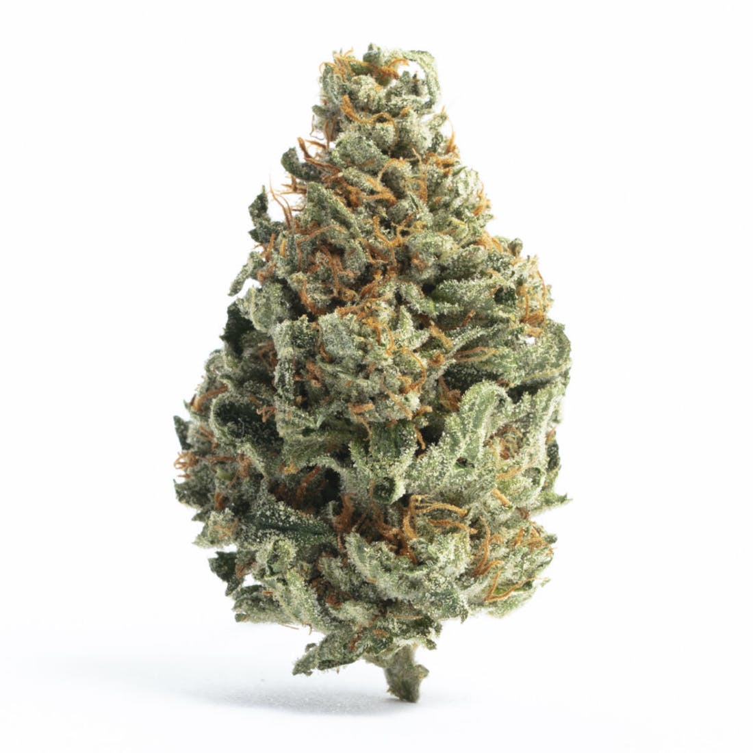 Dutch Treat