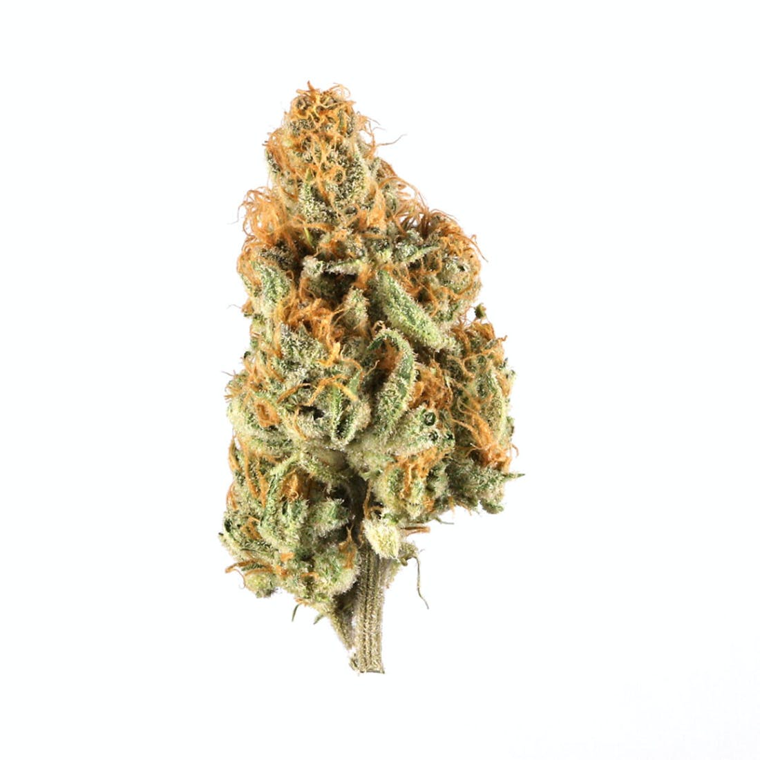 Orange Creamsicle