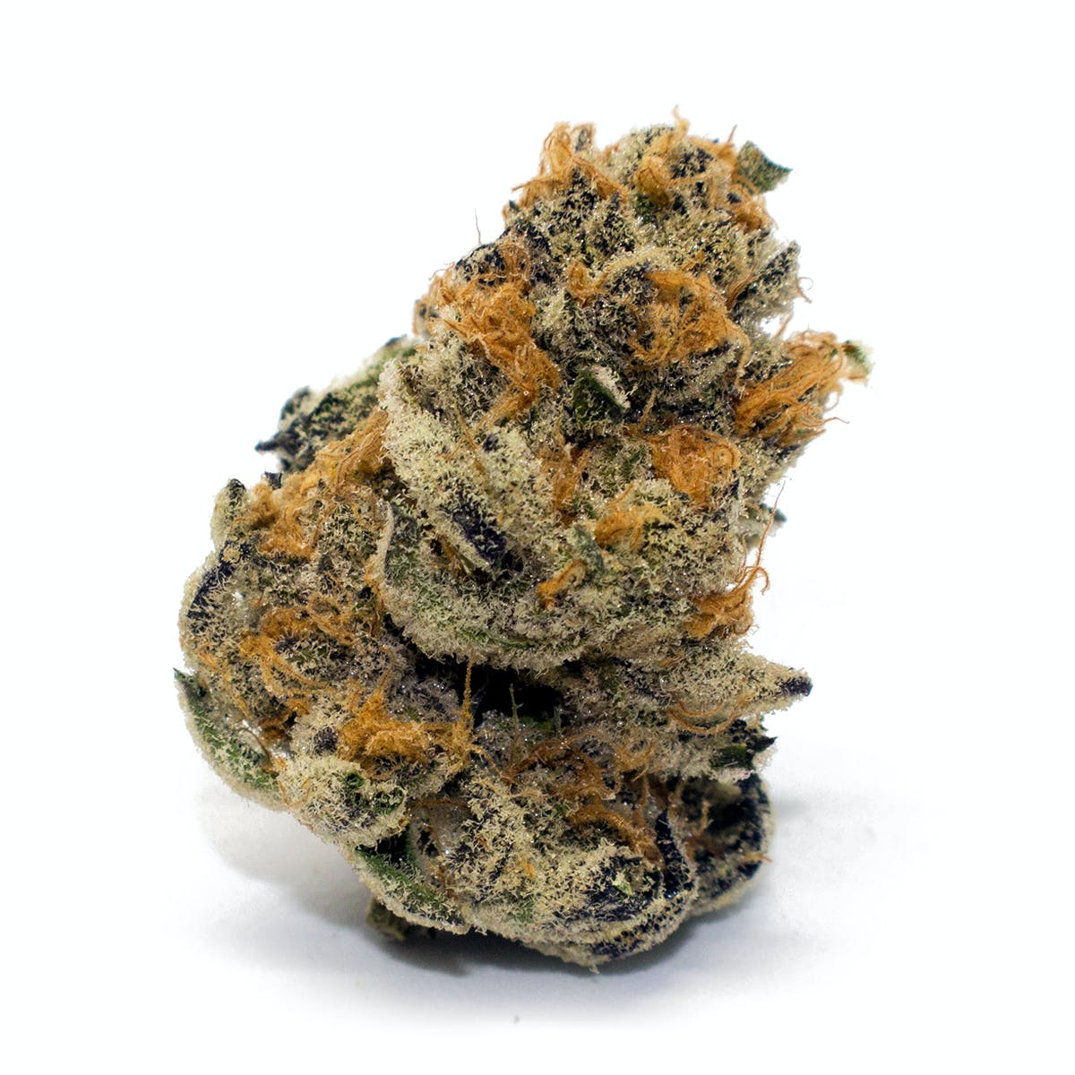 PLATINUM COOKIE