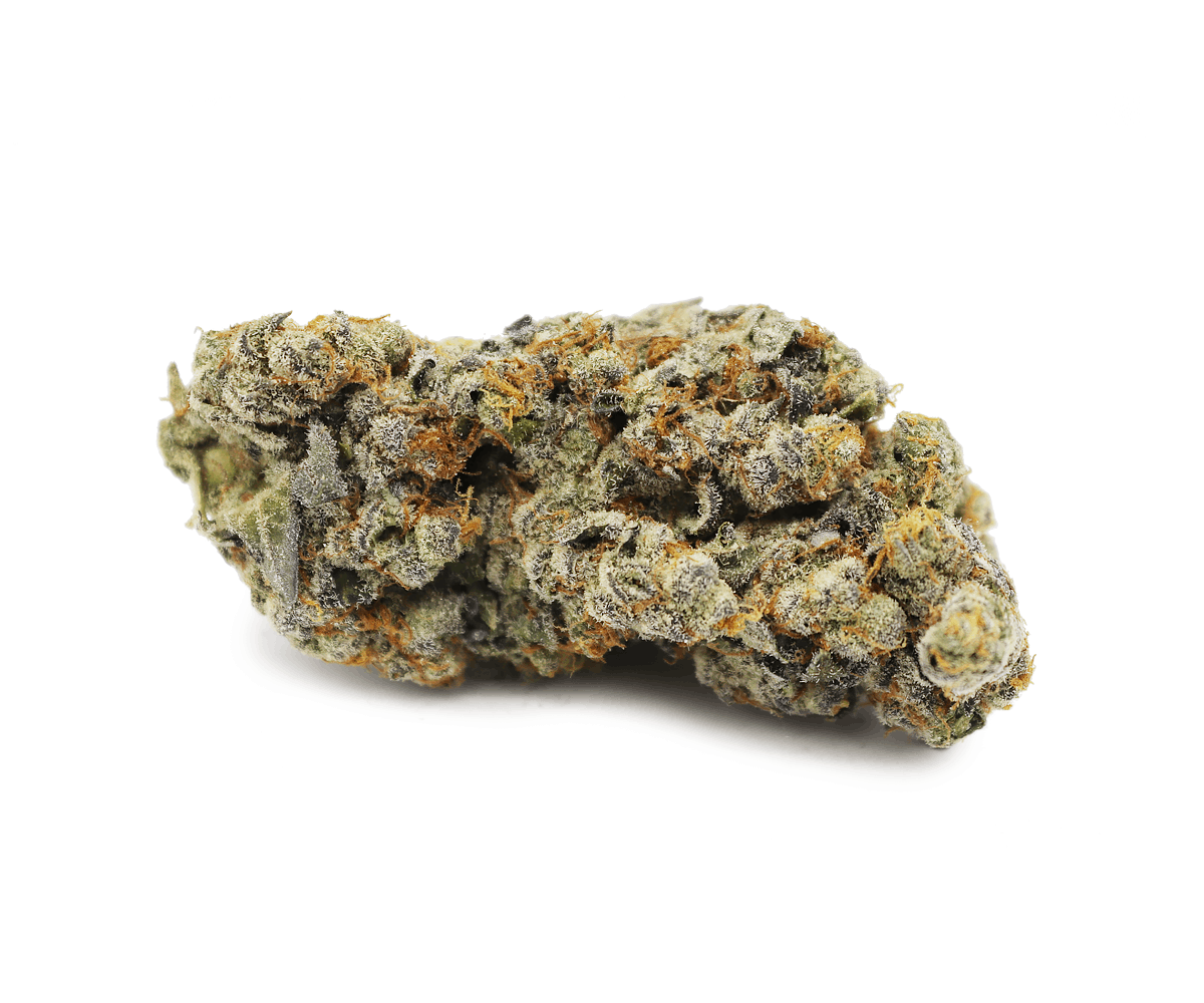 GELATO