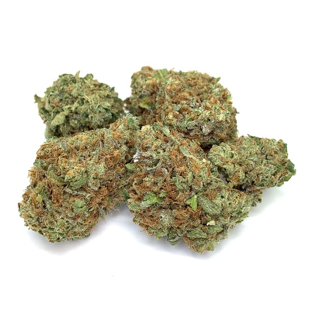 PANAMA RED