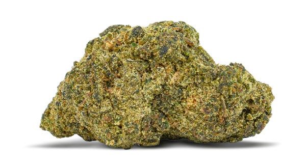 Jungle Cake