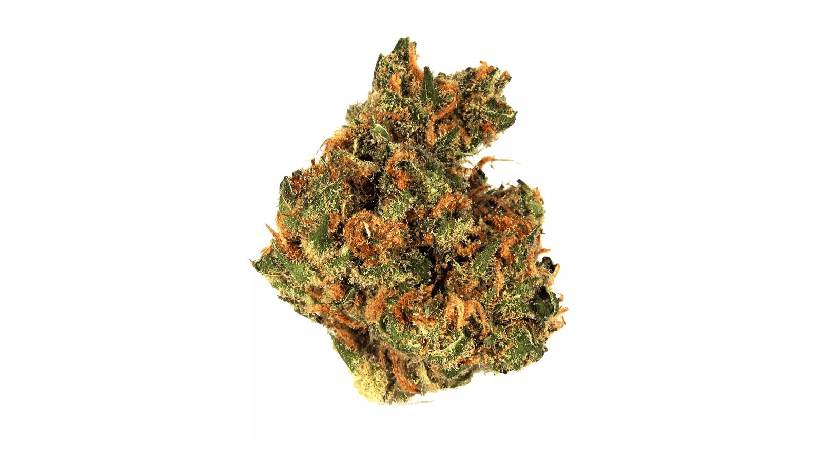 Island Sweet Skunk