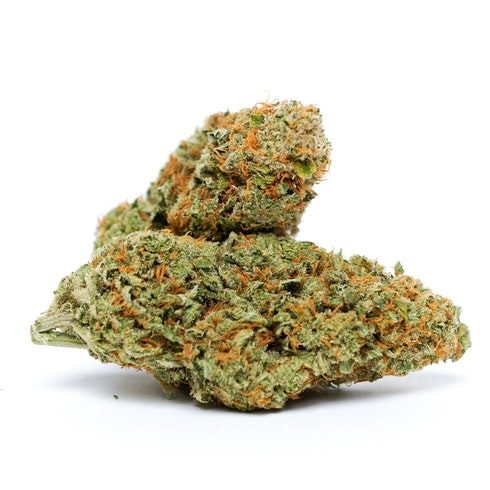 Lemon Jeffery