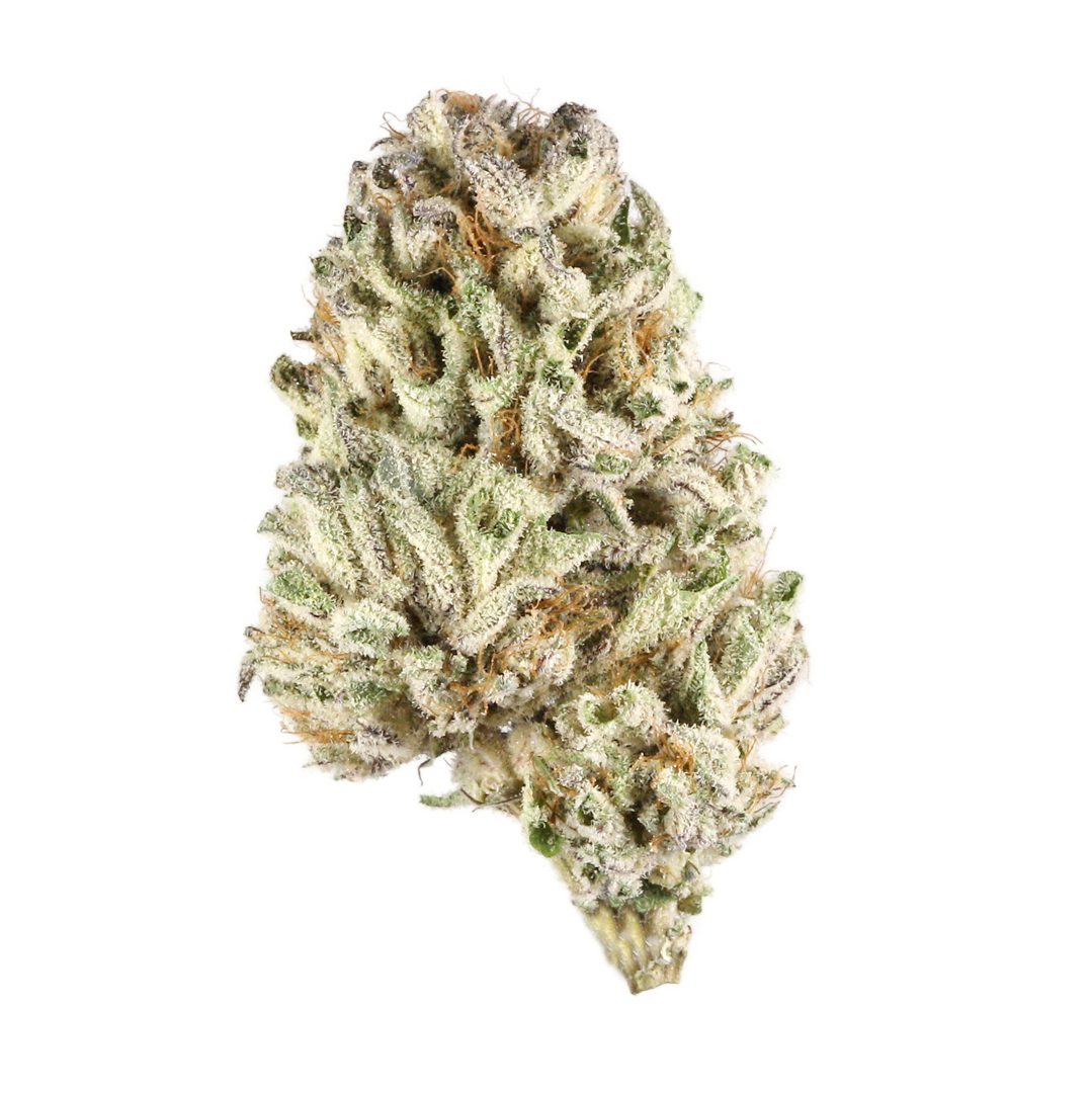 Chronic