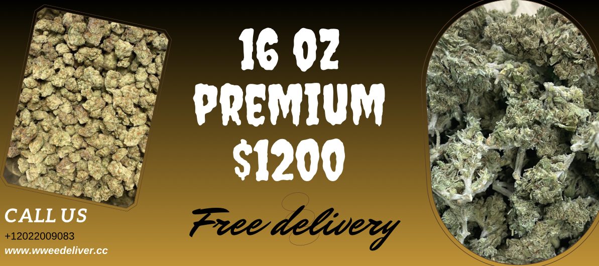16 oz for $1200 