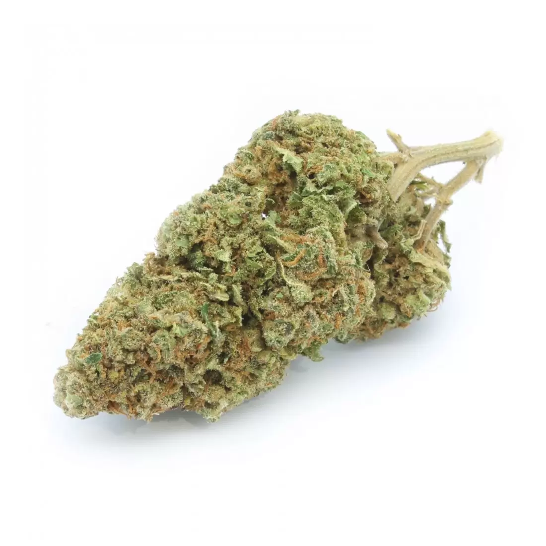 Skunk XL
