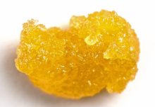 Concentrates