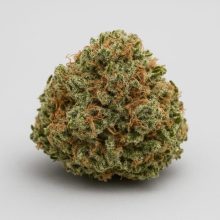 Top Shelf