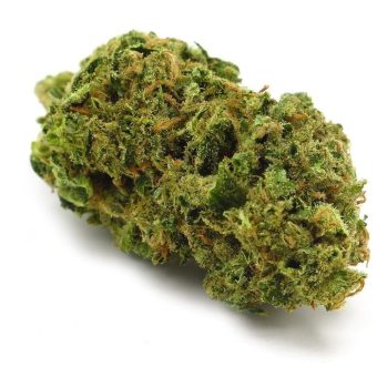 Bruce Banner