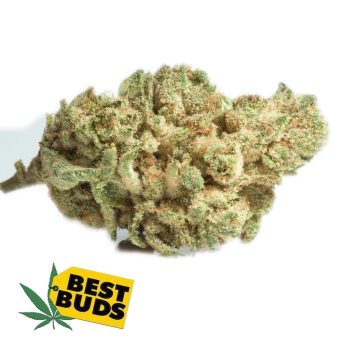 DC Gorilla Glue #GG4