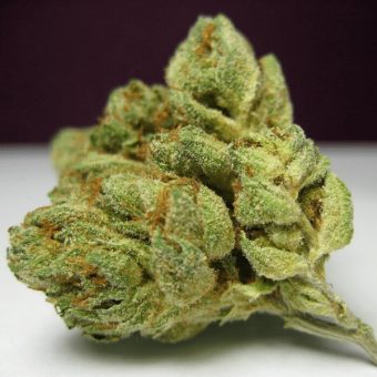 DC OG