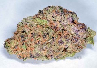 Black Cherry Punch