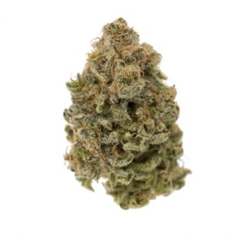 Critical Mass