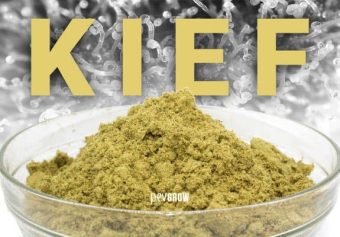  kief