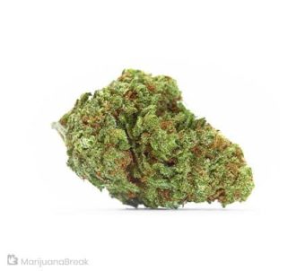 Lemon Diesel 