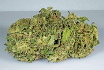 Thc Bomb