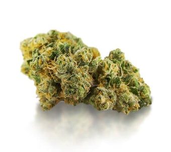 Bruce Banner