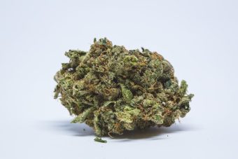 Blue Cookies 