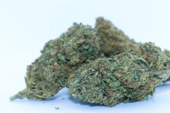 Durban poison 
