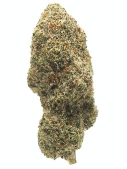 AK-47 