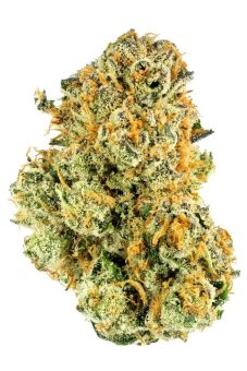 Lemon Lava 
