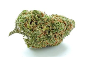 Green Crack