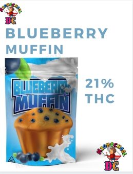 Blueberry muffin