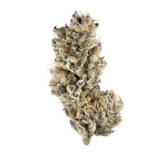 Purple Punch 