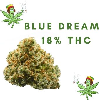 Blue dream 