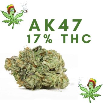 Ak 47