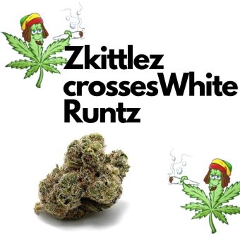 Zkittlez crossesWhite Runtz
